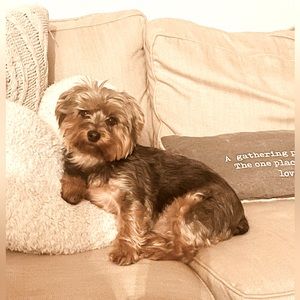 Meet your Posher, Charlene